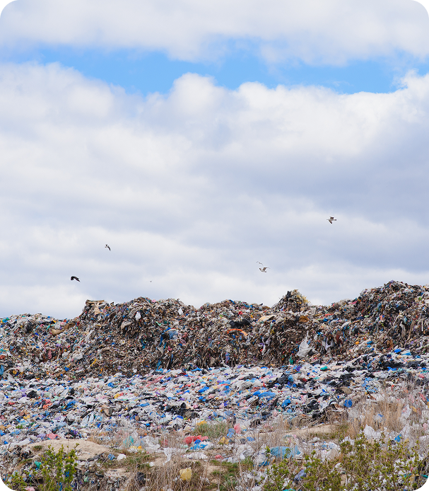 Reliable-Waste-Management-Solutions-for-Every-Industry-2-1