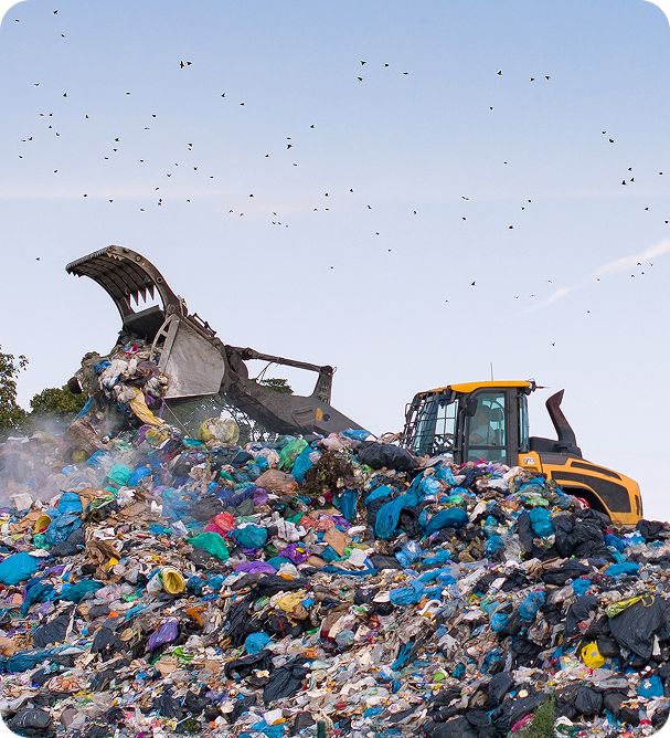 Reliable-Waste-Management-Solutions-for-Every-Industry-2