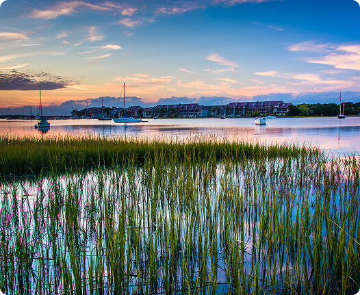 Location South Carolina Feature Image