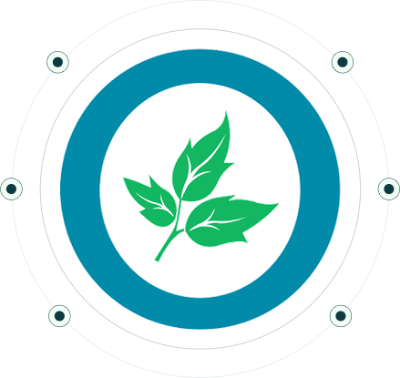 Program Image